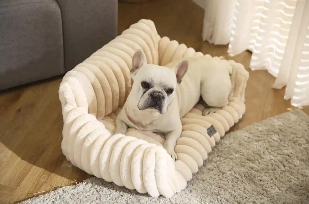 pet bed sofa