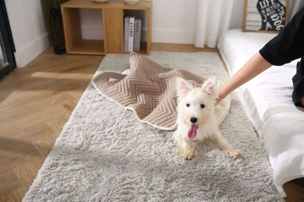 wholesale pet blanket