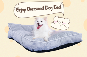 Oversized Dog Bed