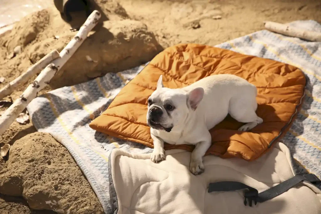 Mayorista Alfombrillas de exterior para perros