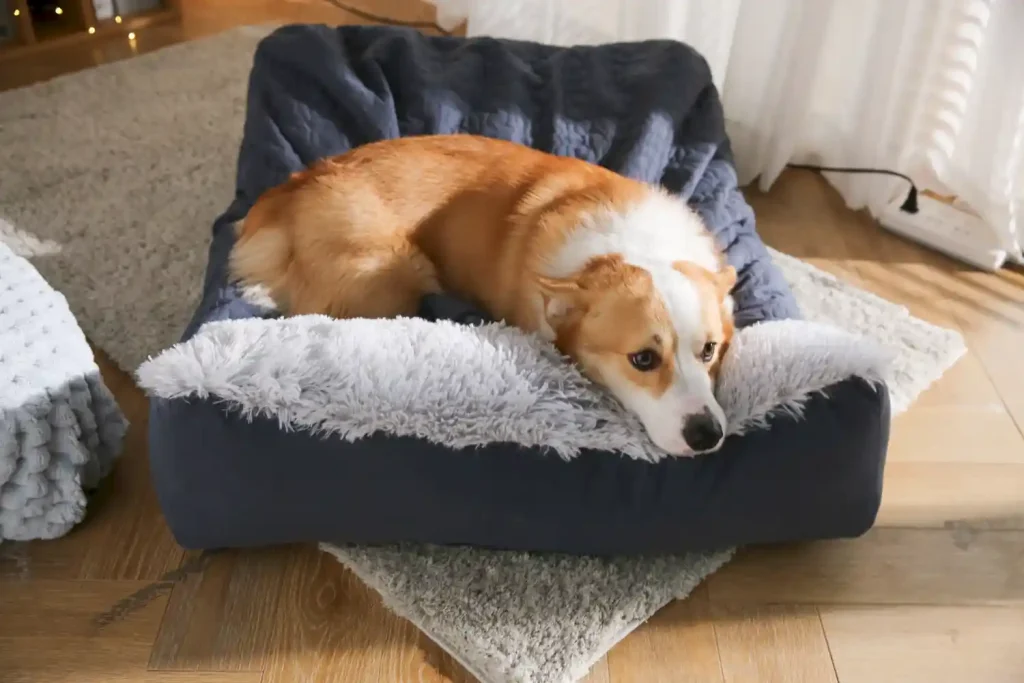 dog head pillow cushion wholesale