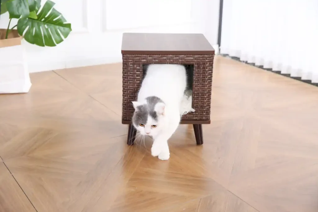elevated cat bed OEM