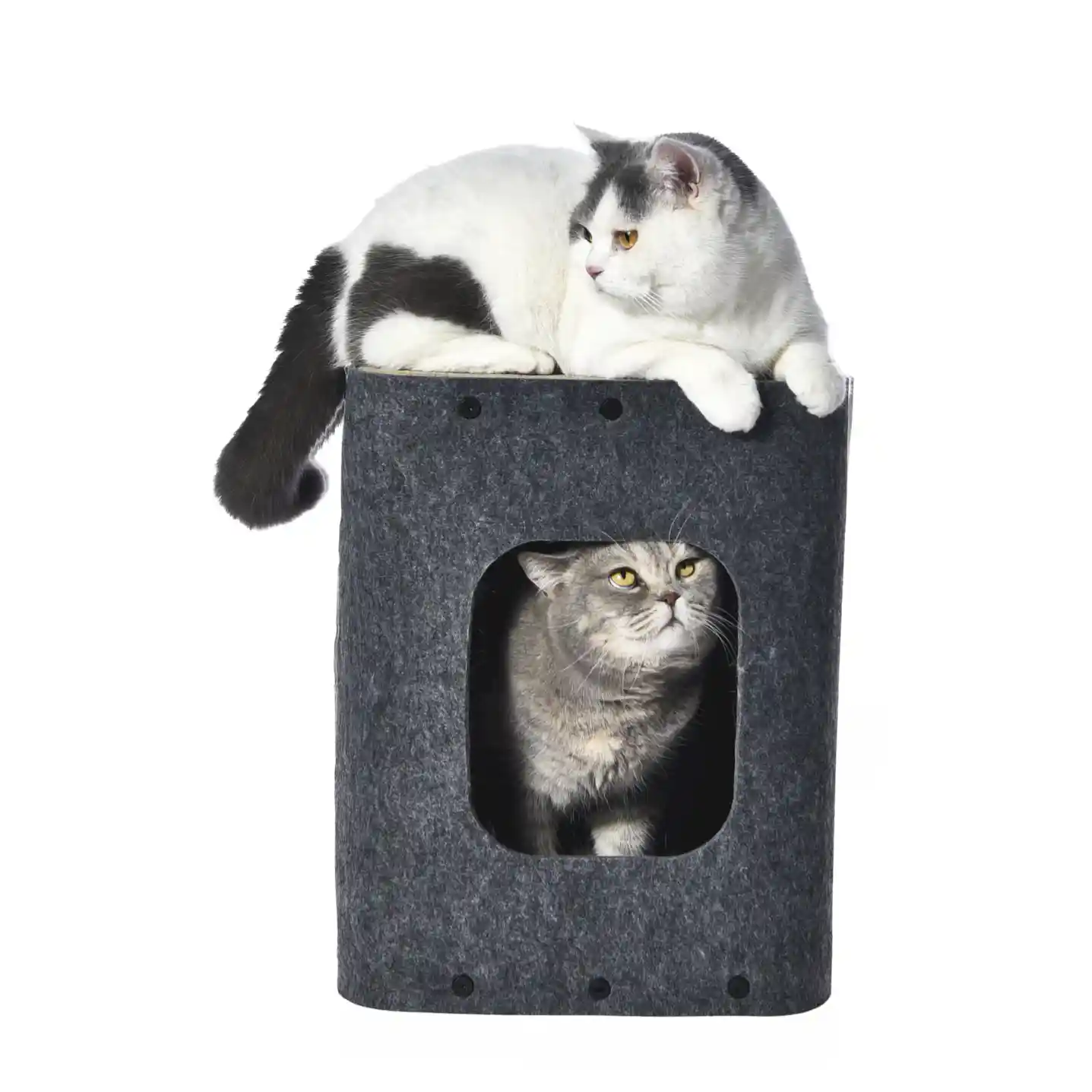 felt cat cave export