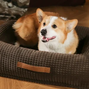 ortho bolster dog bed OEM