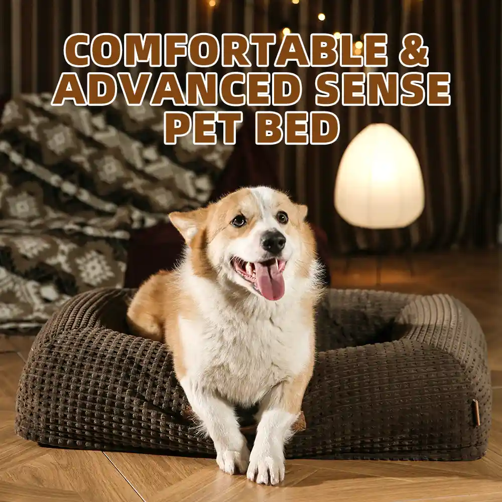 ortho bolster dog bed