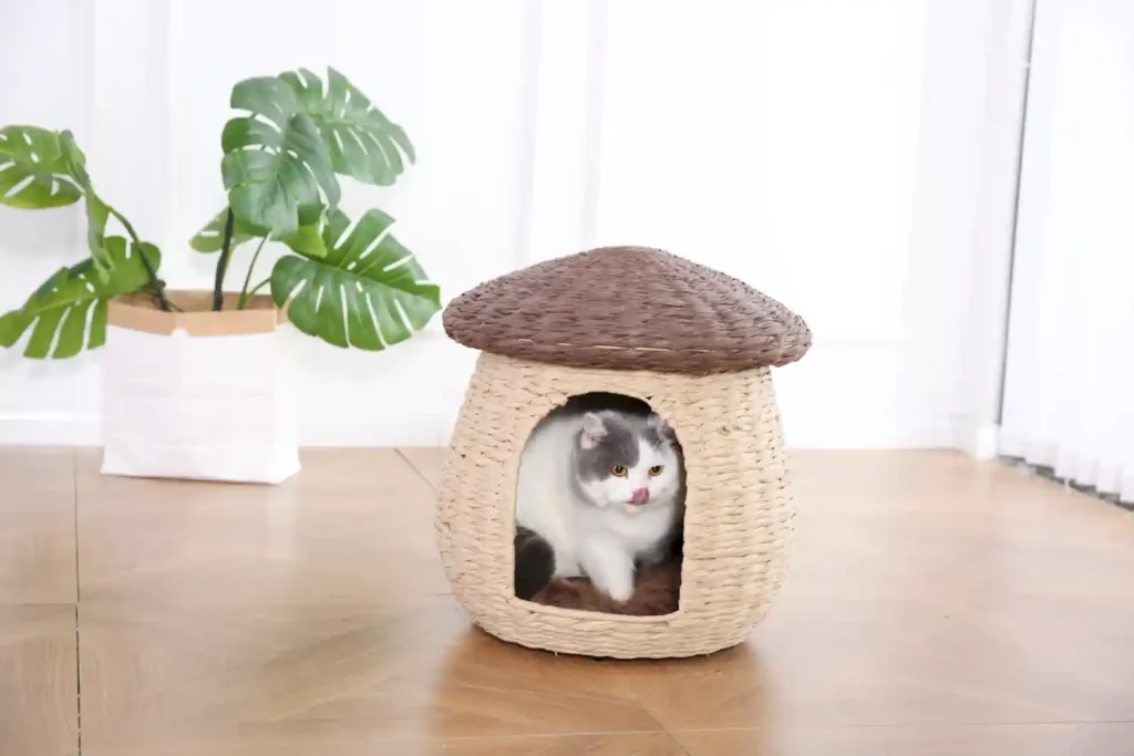 rattan cat furniture factory