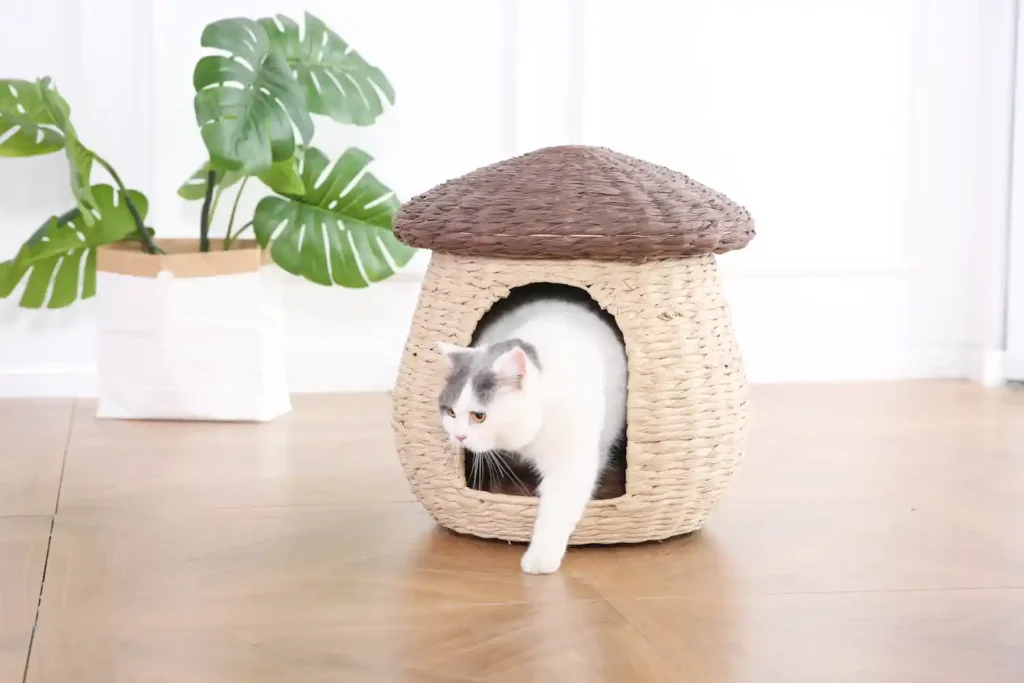 wholesale rattan cat furniture