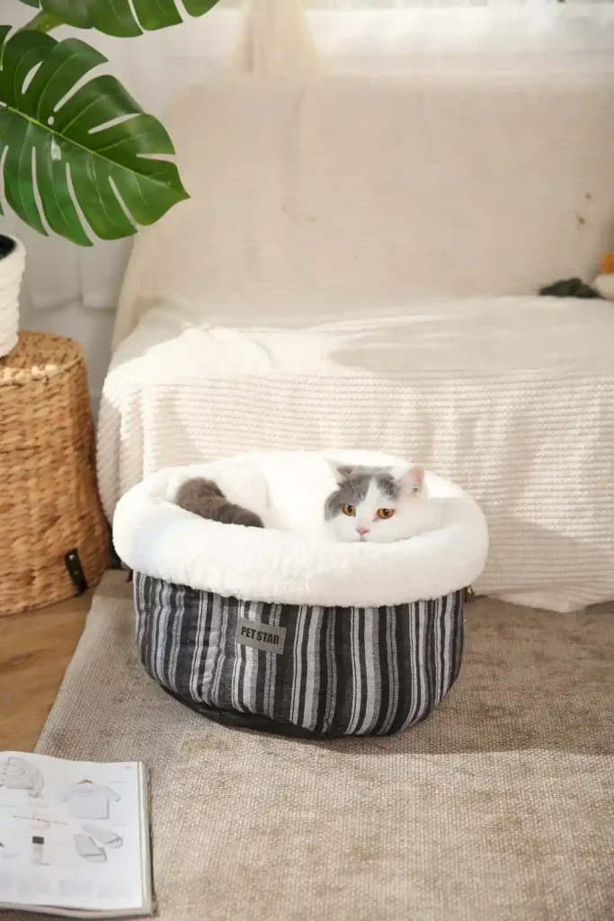 Donut Calming Pet Beds Supplier