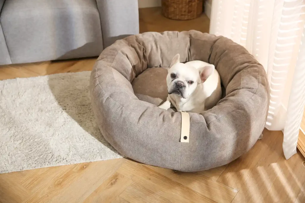 Imitation chenille pet bed Factories