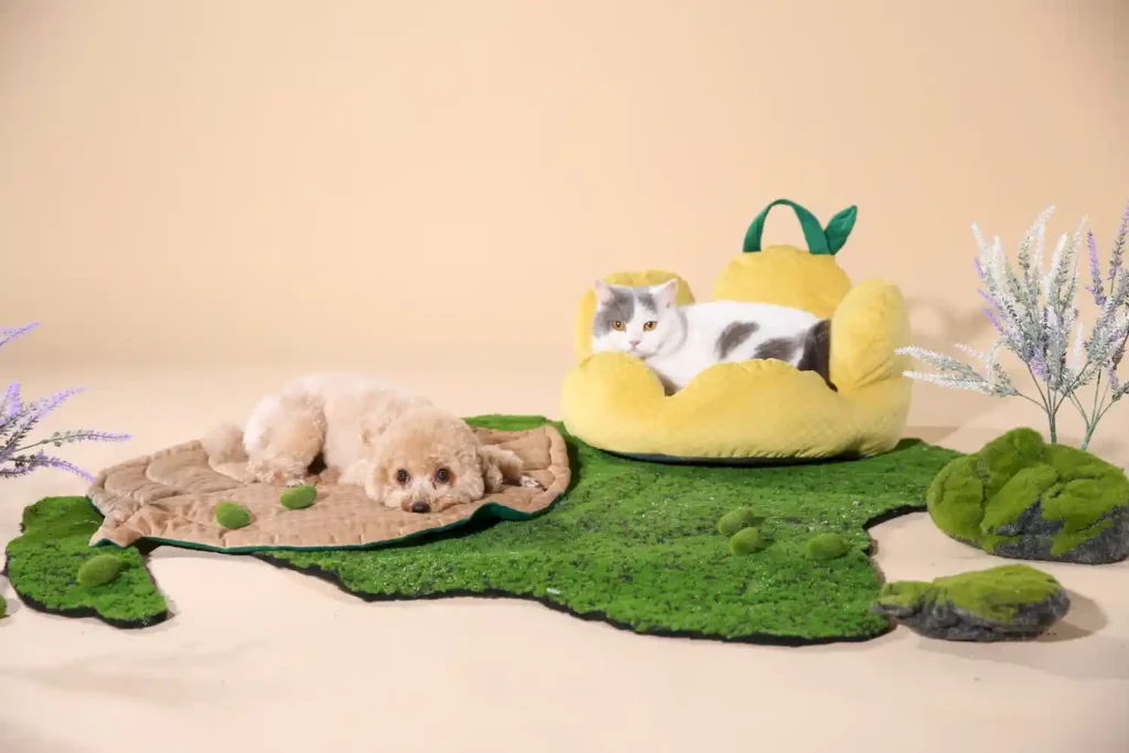 Small Pet Sofa Bed Factory