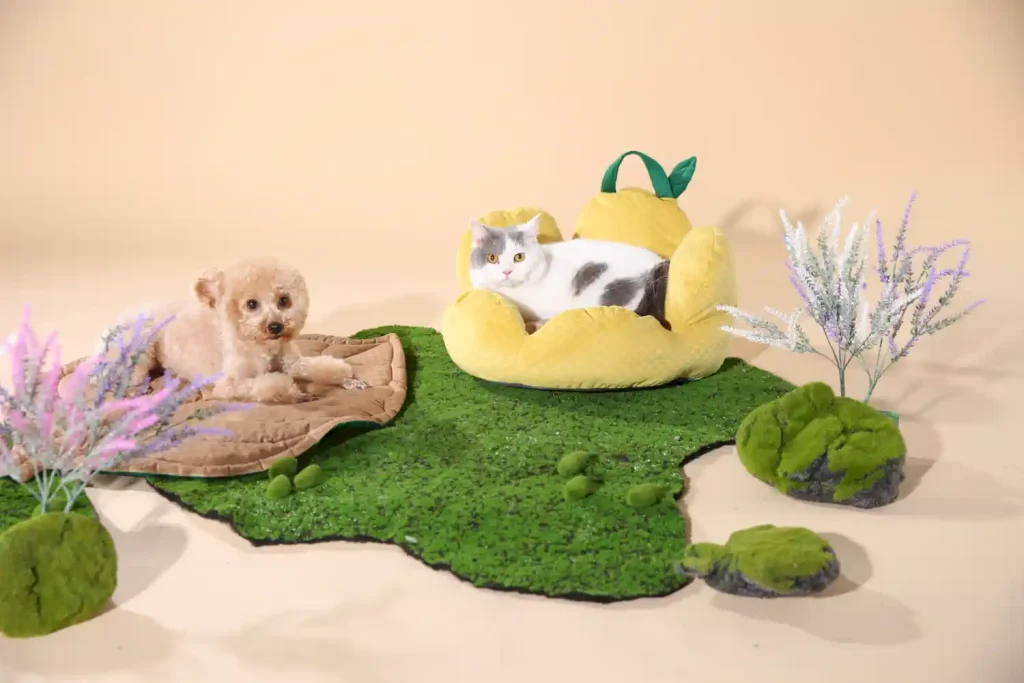 Small Pet Sofa Bed ODM
