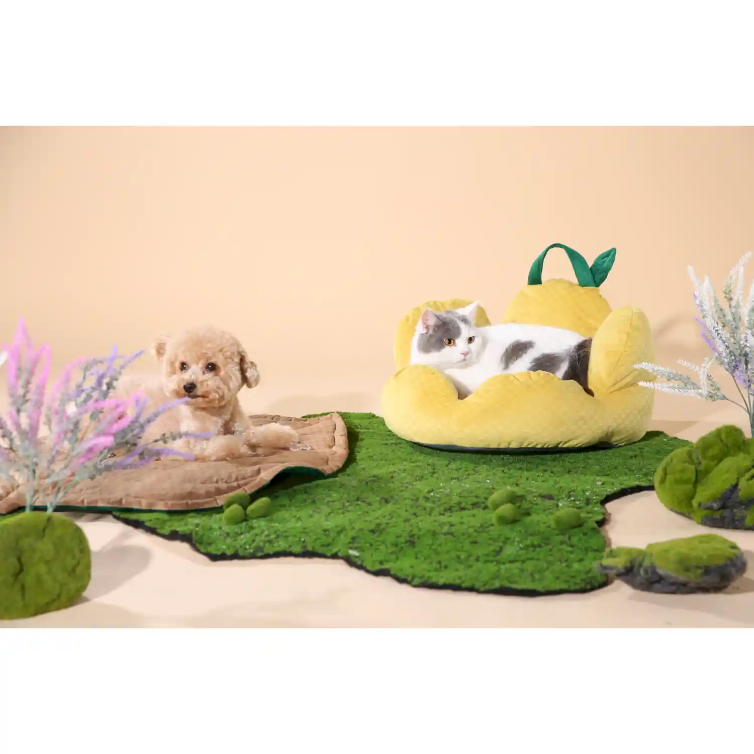Small Pet Sofa Bed OEM