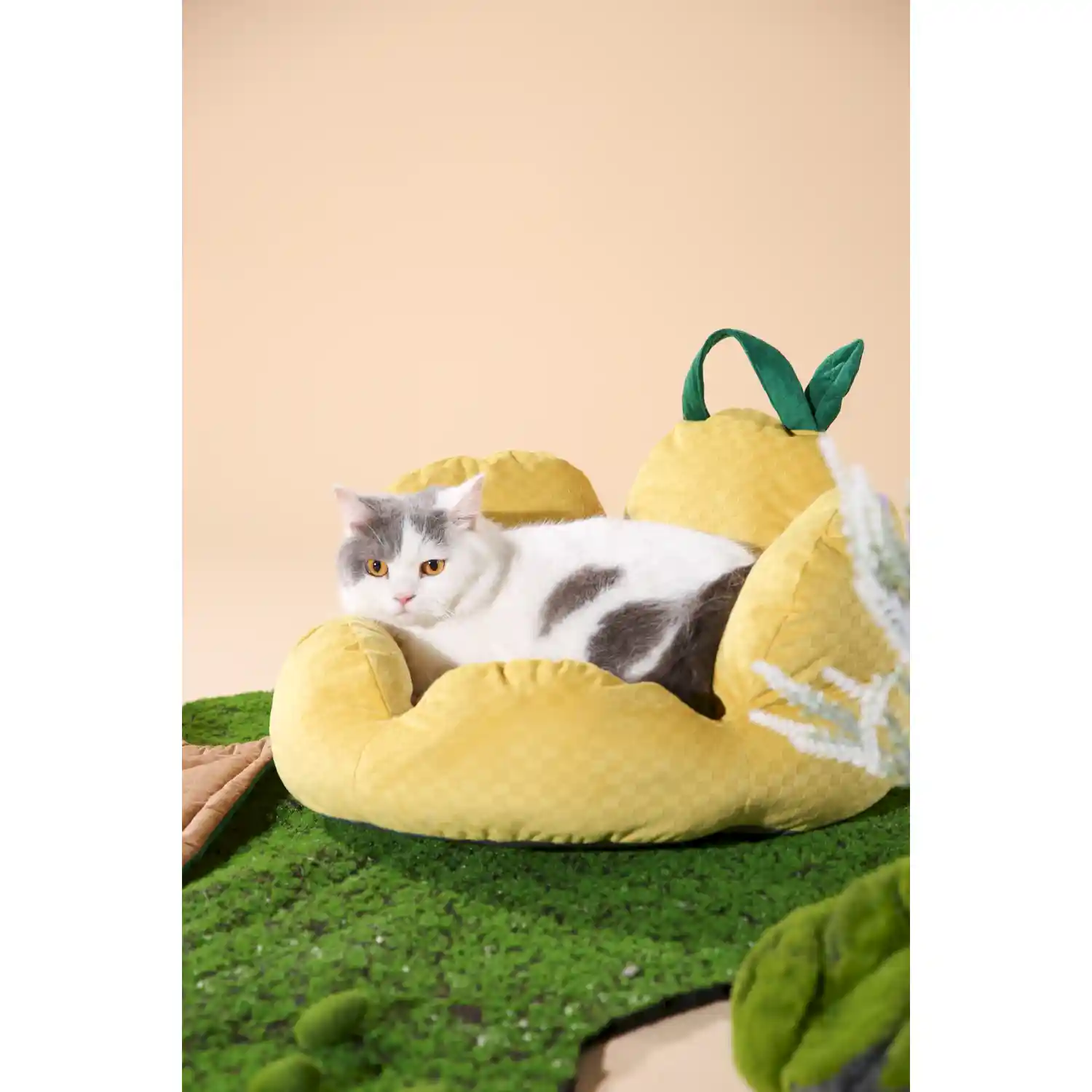 Small Pet Sofa Bed Suppliers