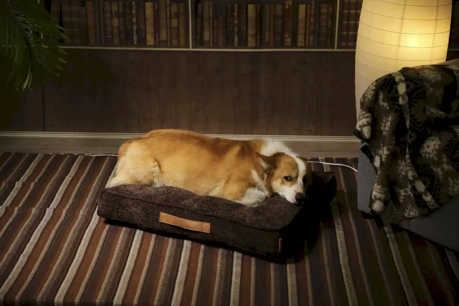Anti-Biss Hundebett Fabrik
