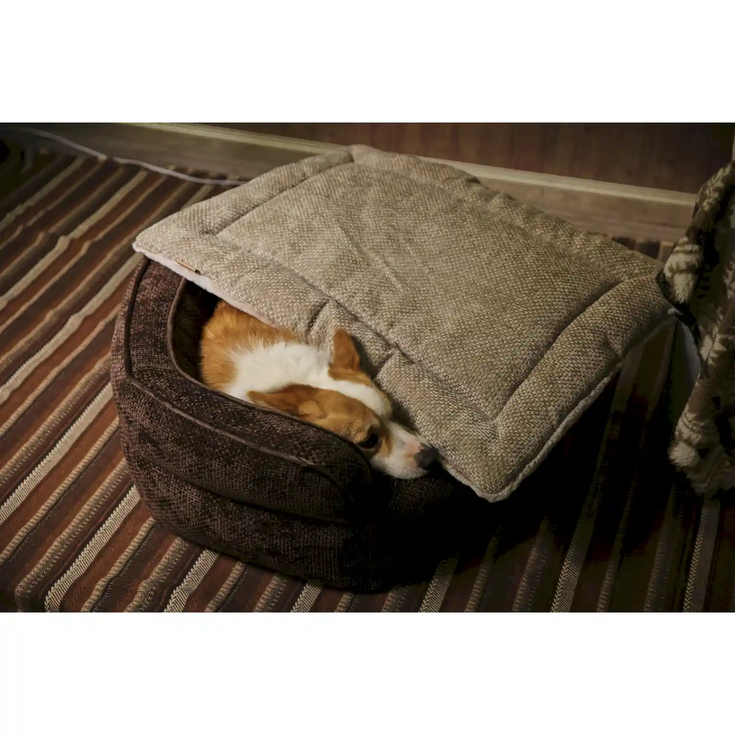 anti chew dog beds in bulk