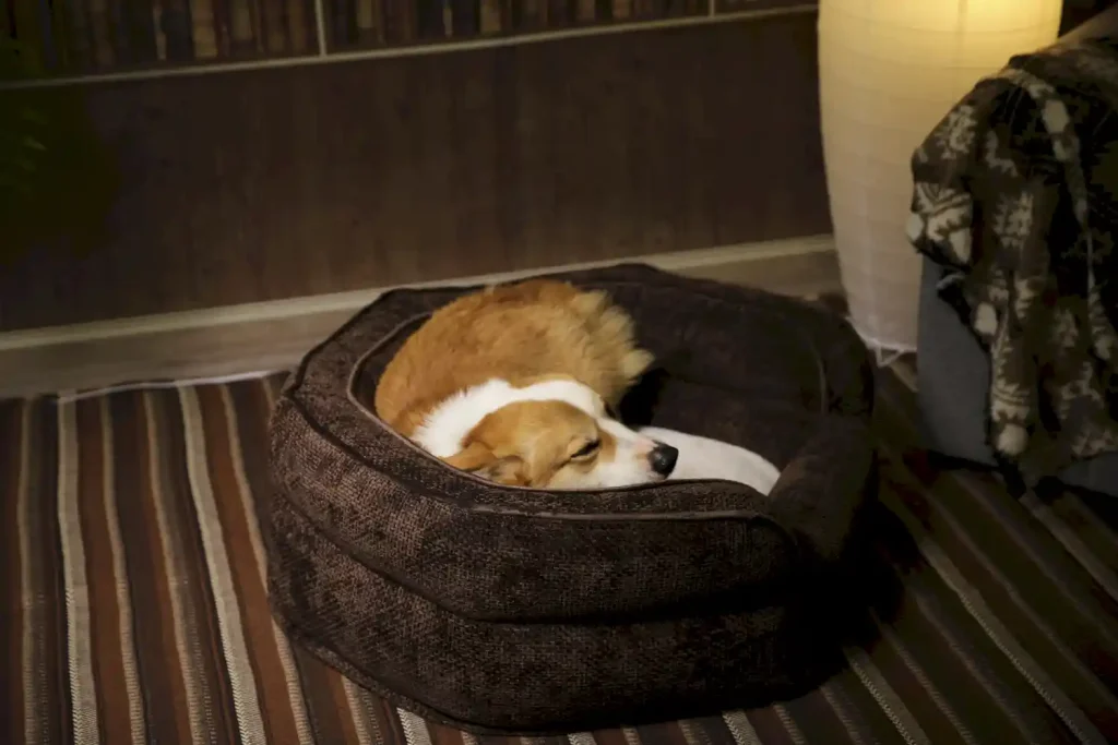 anti chew dog beds odm