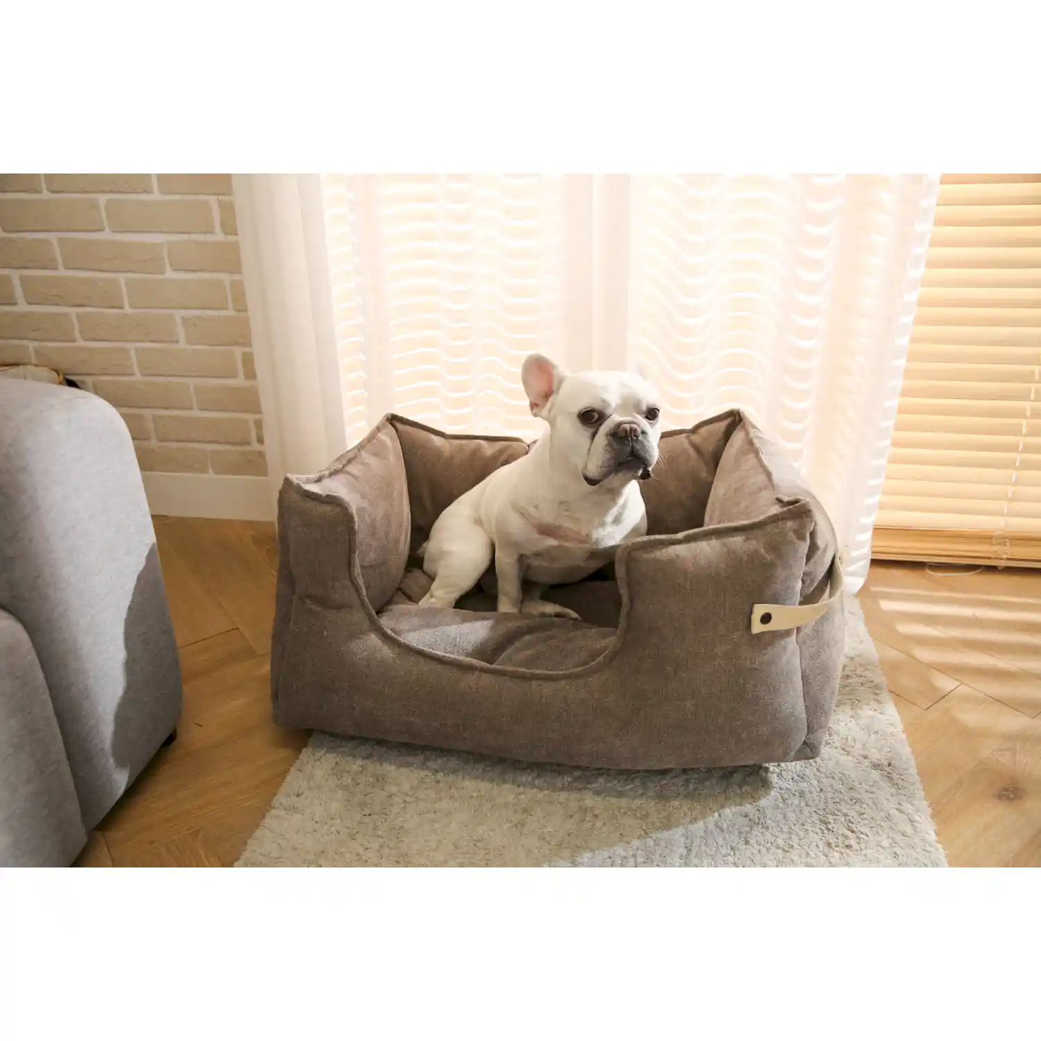 cheap pet beds for dogs odm