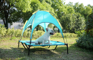 dog cot