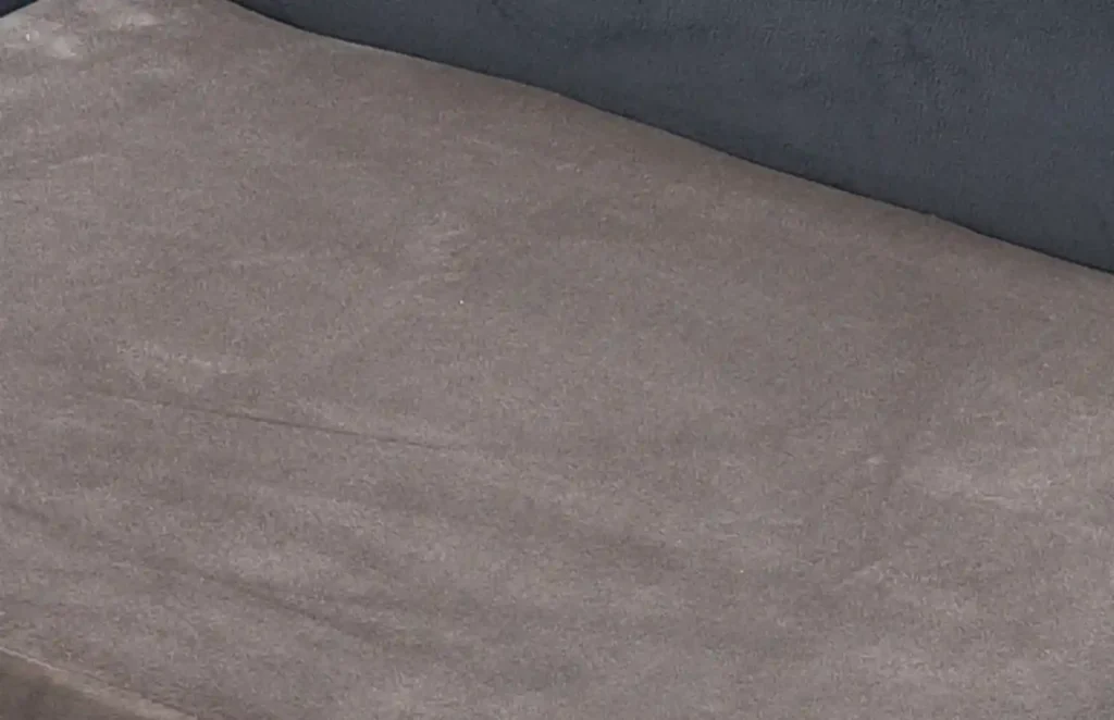 dog friendly sofa material