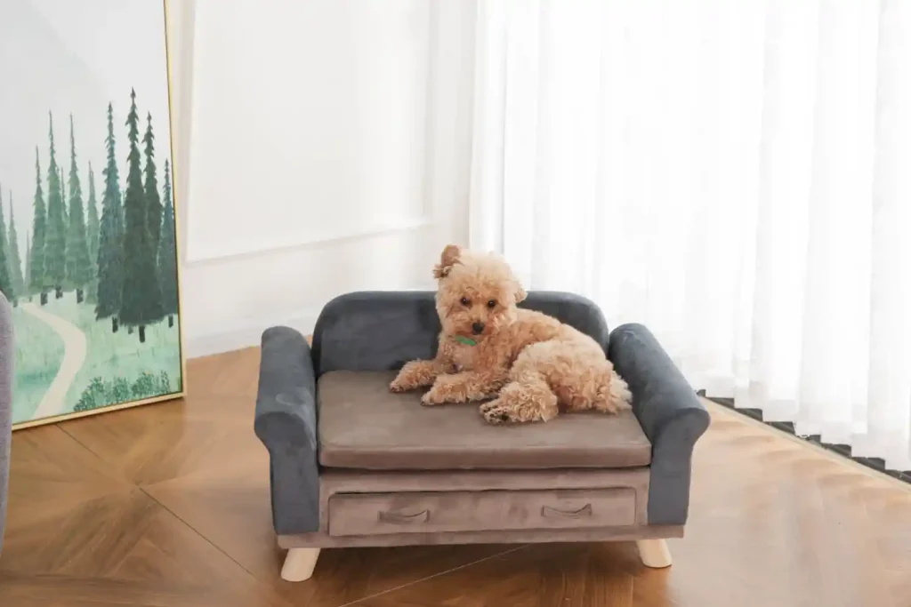 dog friendly sofa wholesale