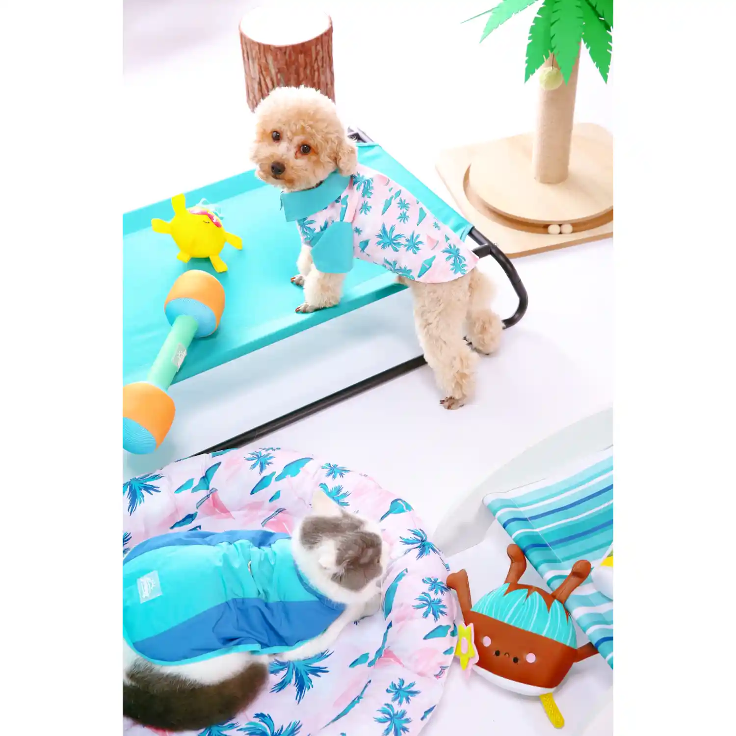 elevated cooling dog bed supplier