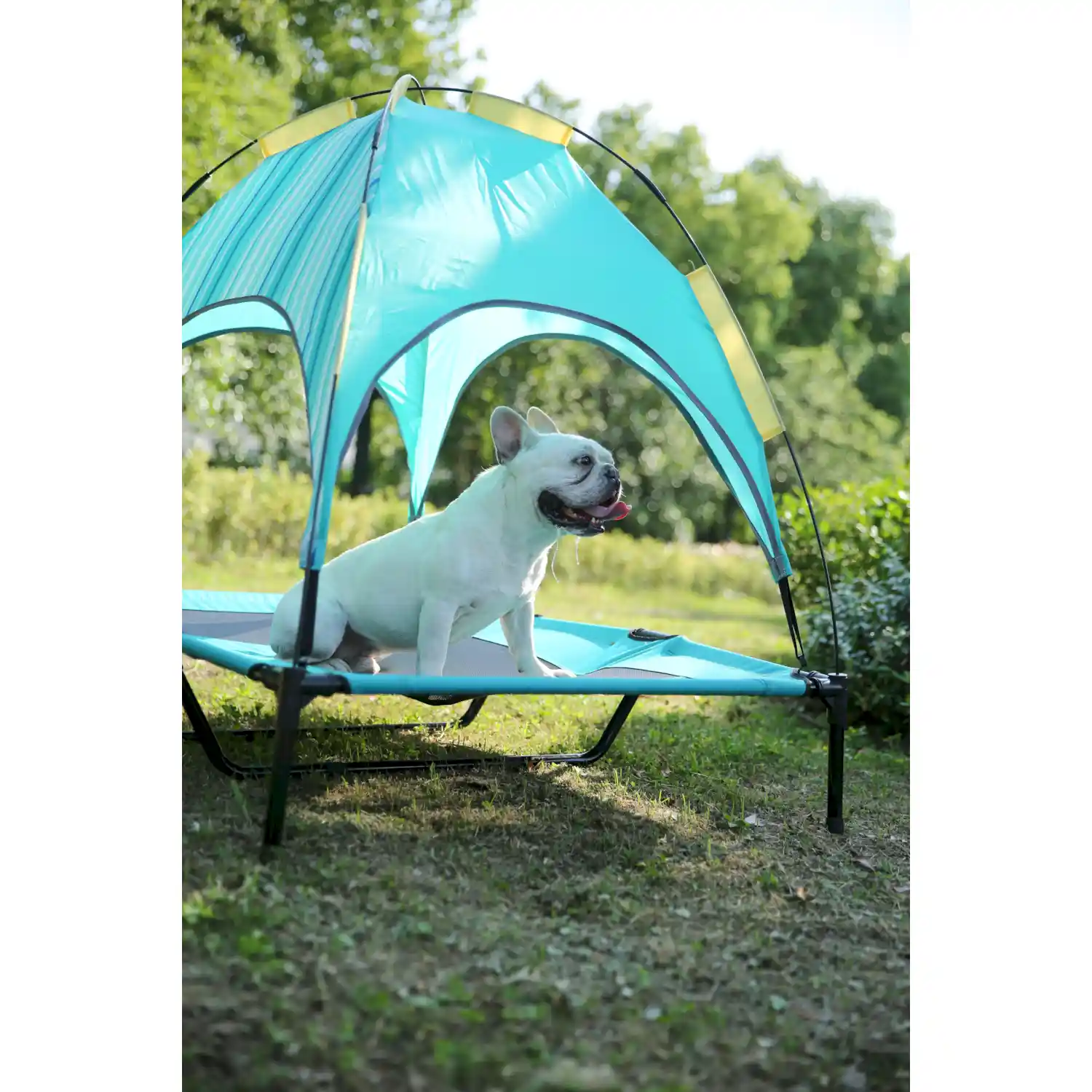 elevated dog bed with canopy ODM