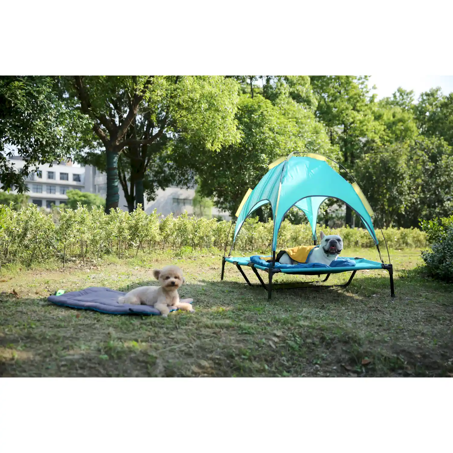elevated dog bed with canopy export