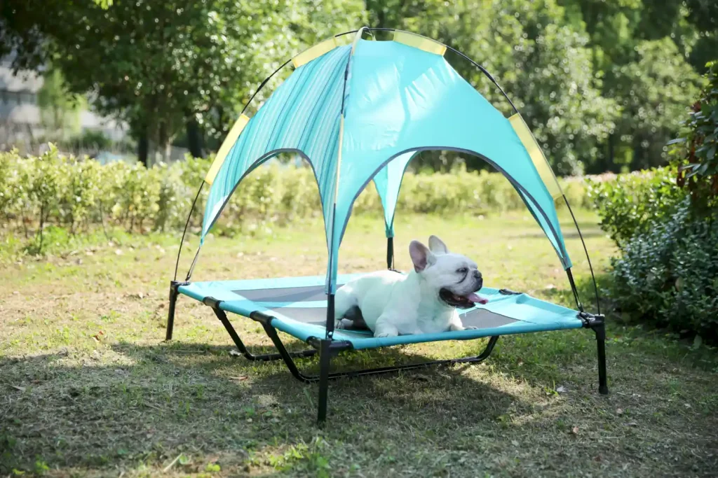 elevated dog bed with canopy in bulk