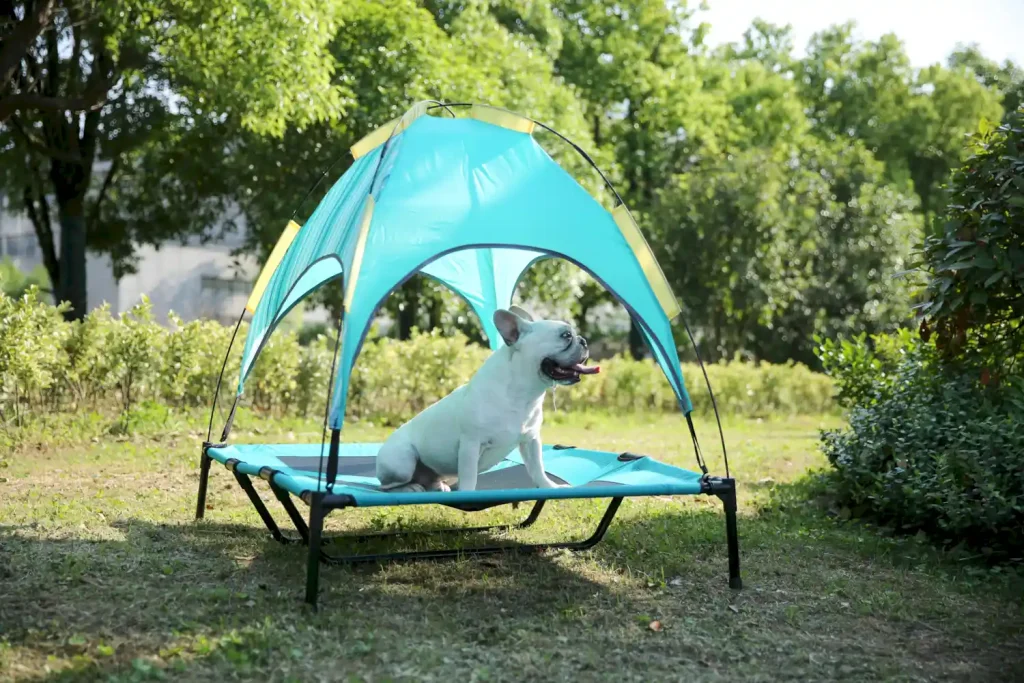 elevated dog bed with canopy suppliers