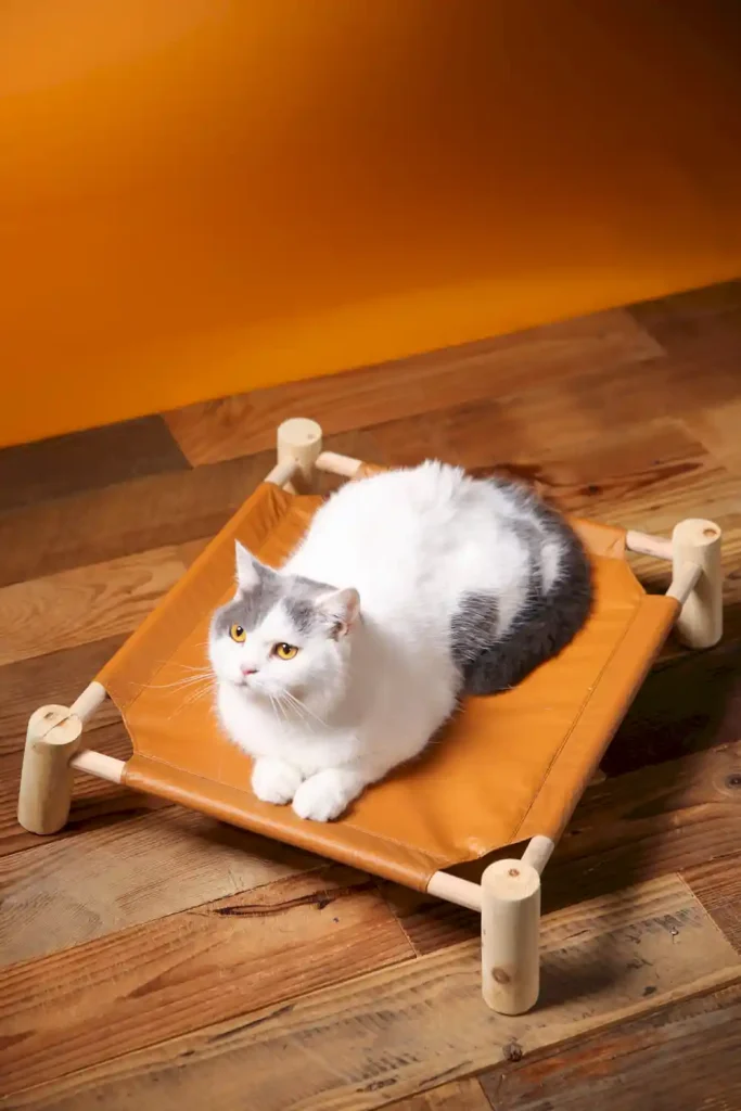 elevated large dog bed OEM