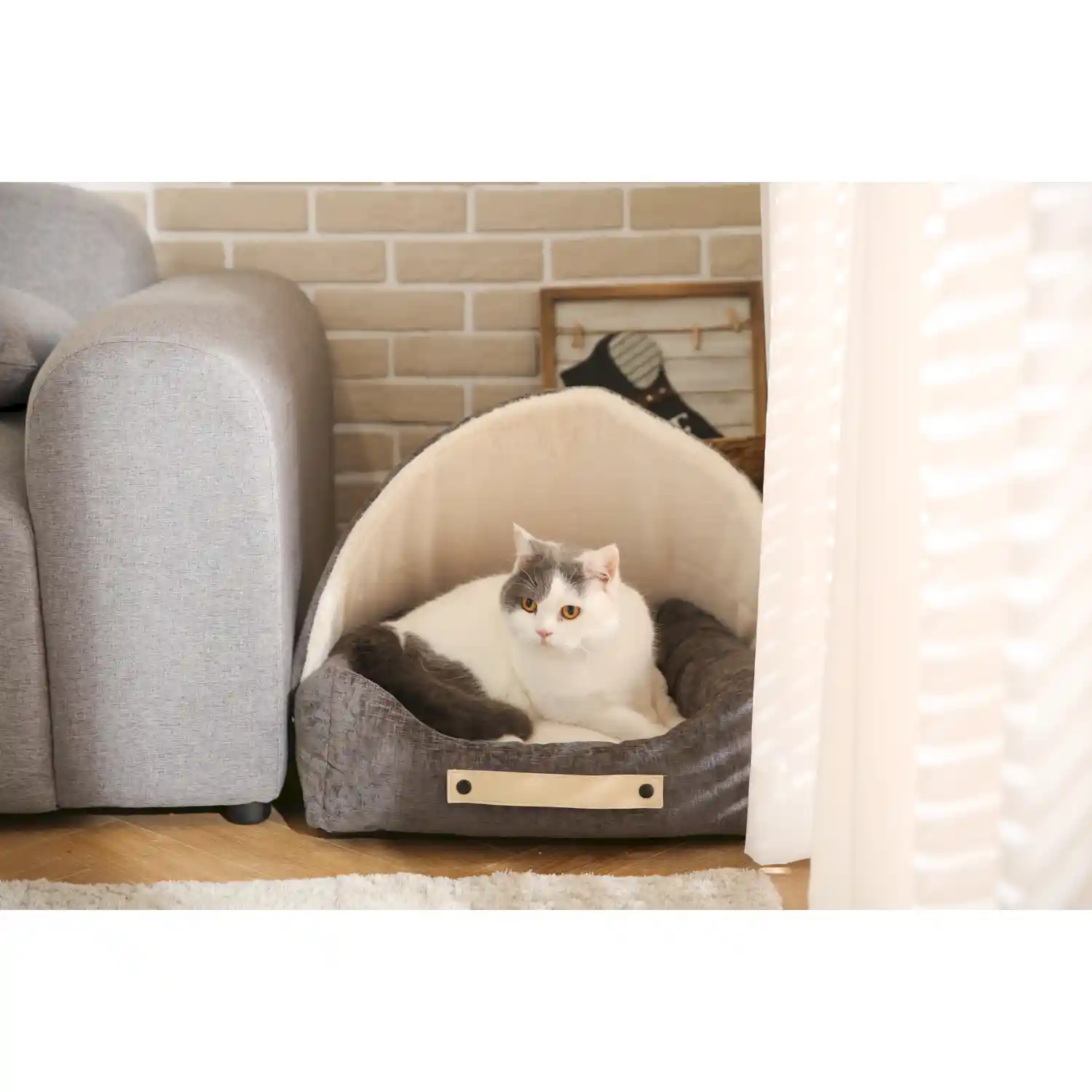 fancy pet beds for dogs suppliers