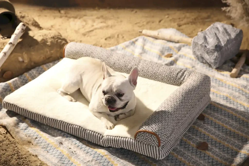 luxurious pet sofa bed ODM