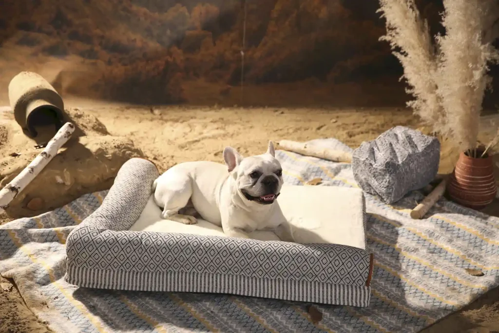 luxurious pet sofa bed OEM