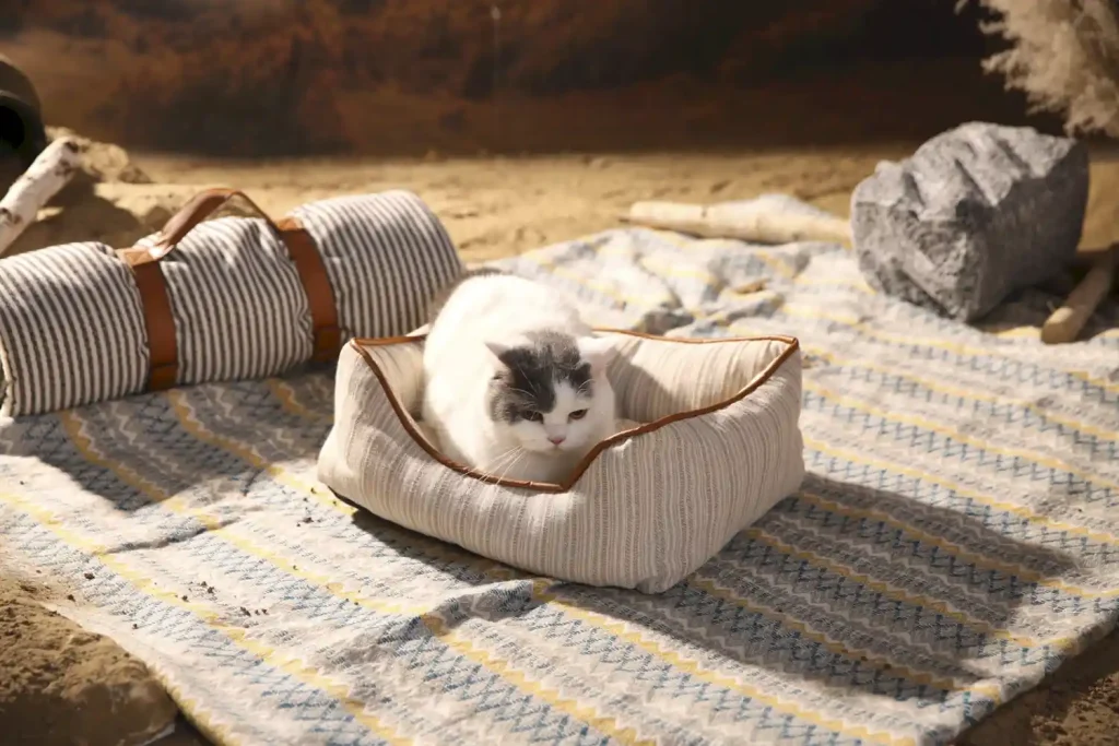 luxury pet beds for small dog oem