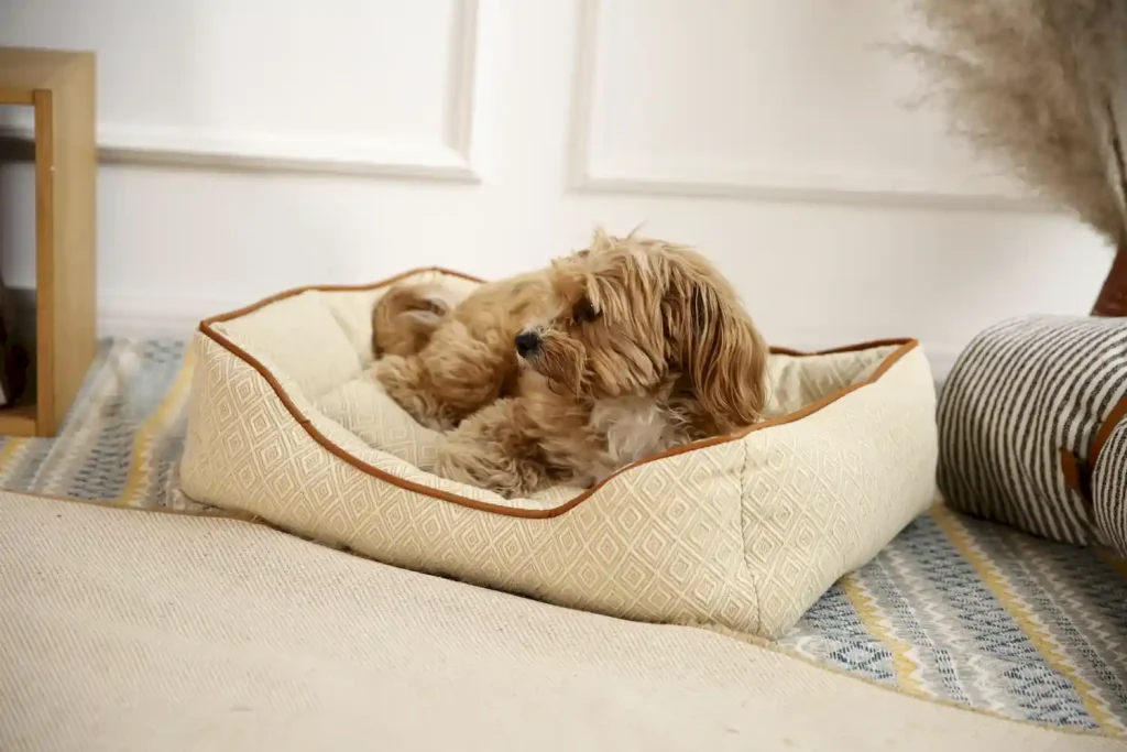 luxury pet beds for small dog suppliers