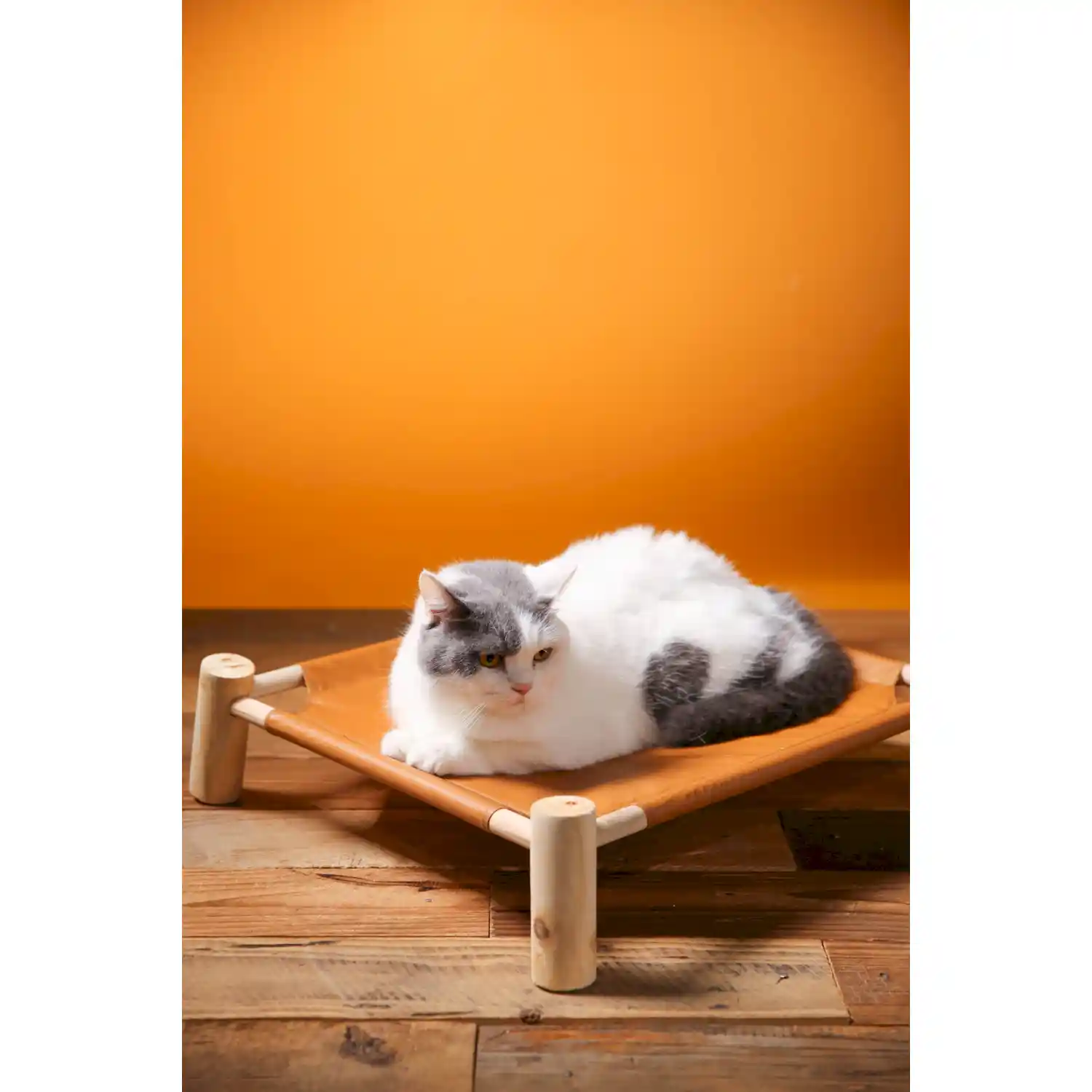 outdoor raised dog bed ODM