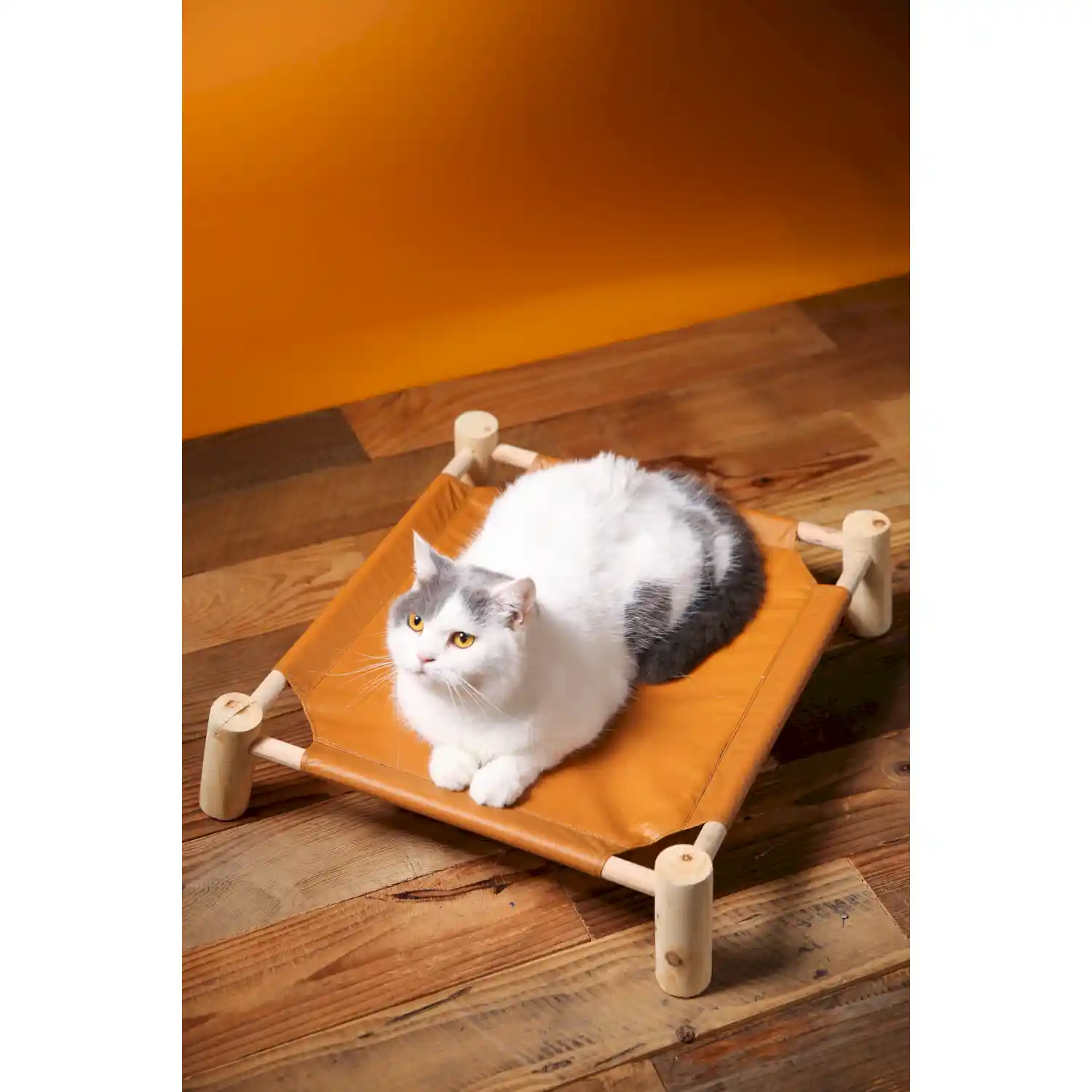 outdoor raised dog bed OEM