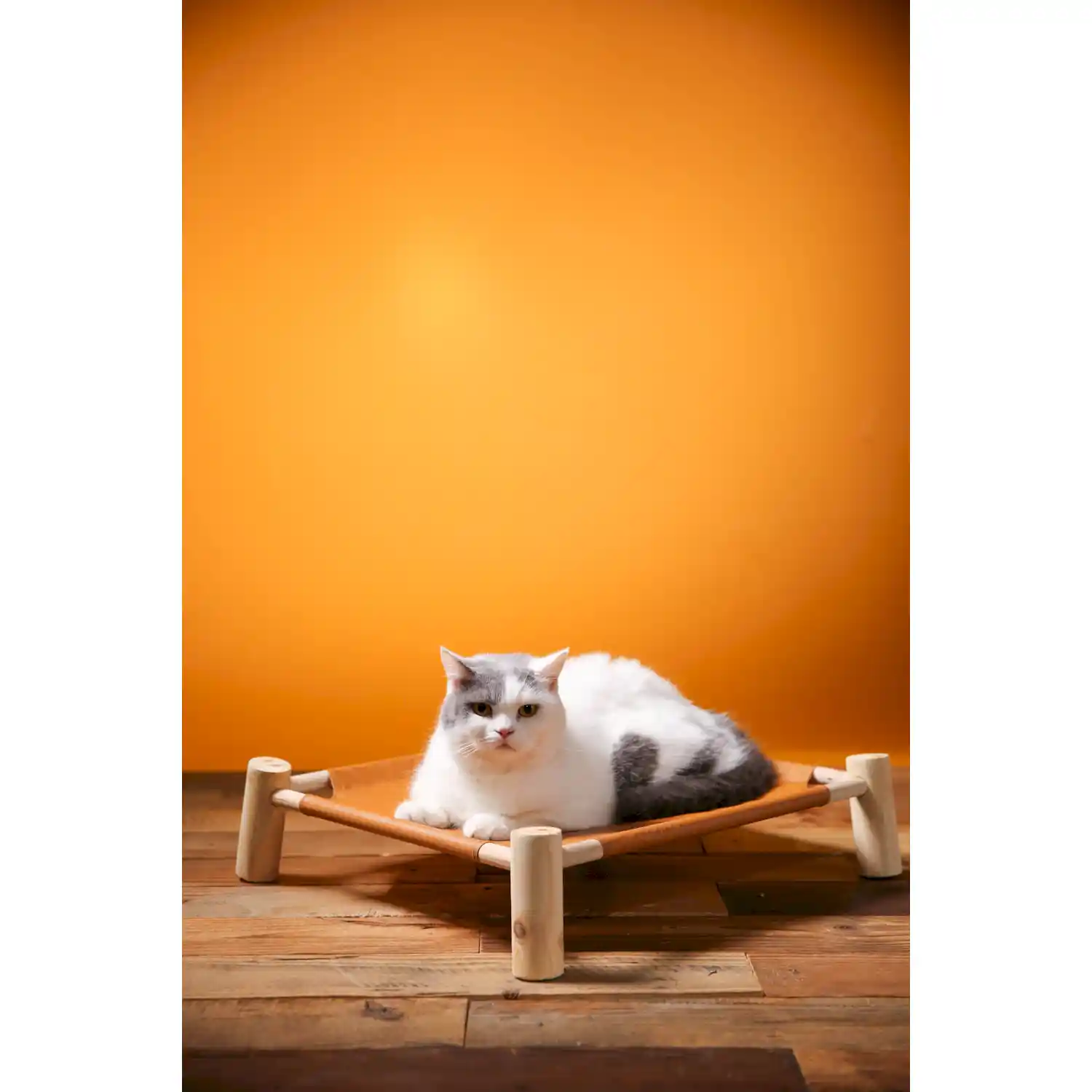 outdoor raised dog bed manufacturer