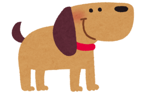 Best Dog Beds Brands