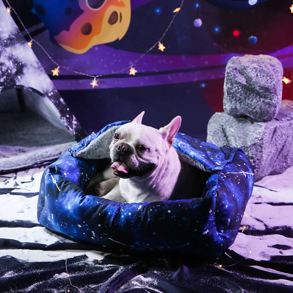 Dog Couch Cover supplier