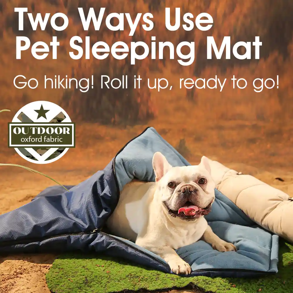 Dog Sleeping Mat Export