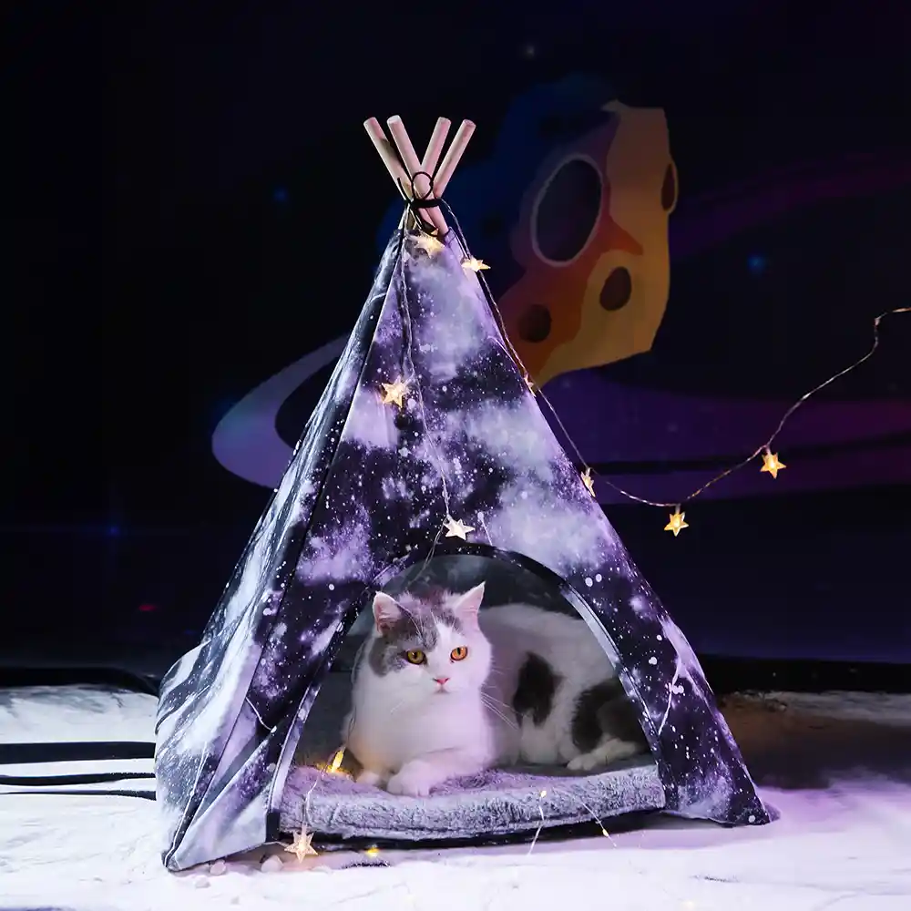 Pet Tent Bed Manufacturer