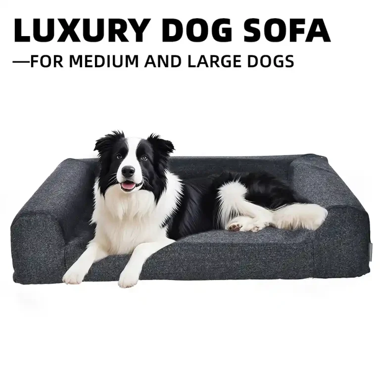 Sofa Dog Bed