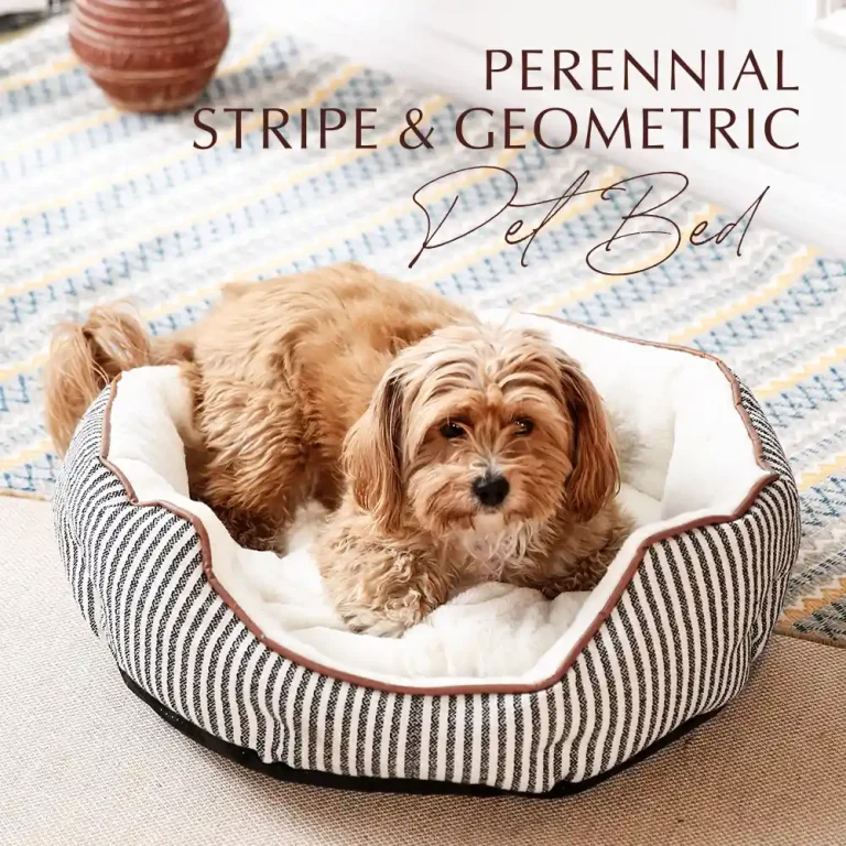 Stripe Modern Cat Bed