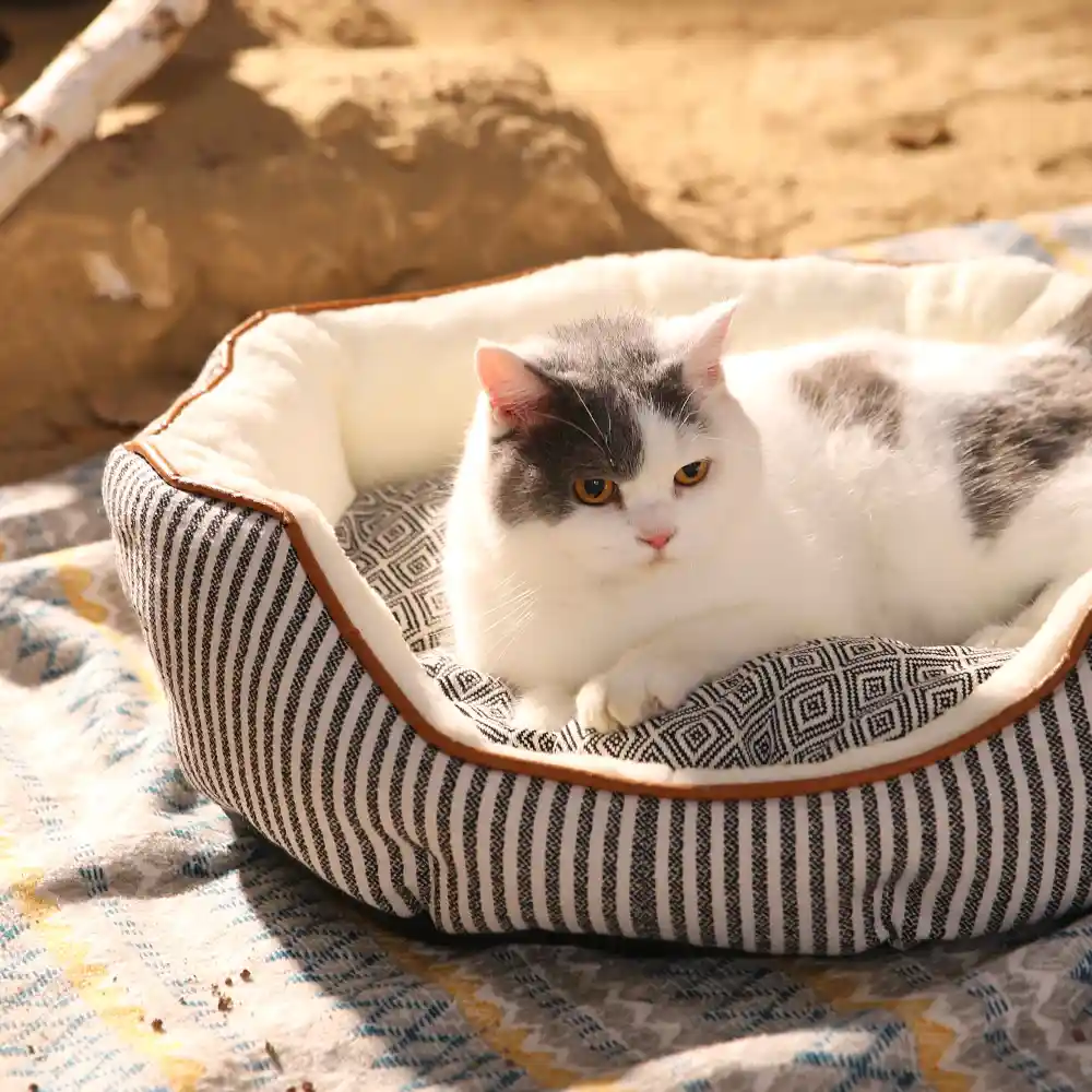 Stripe Modern Cat Bed Manufacturer