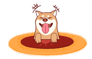 Wholesale dog blanket