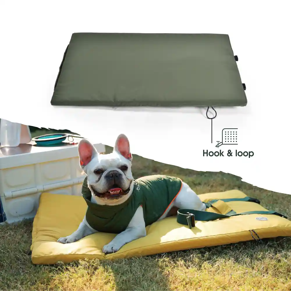 outdoor dog beds waterproof