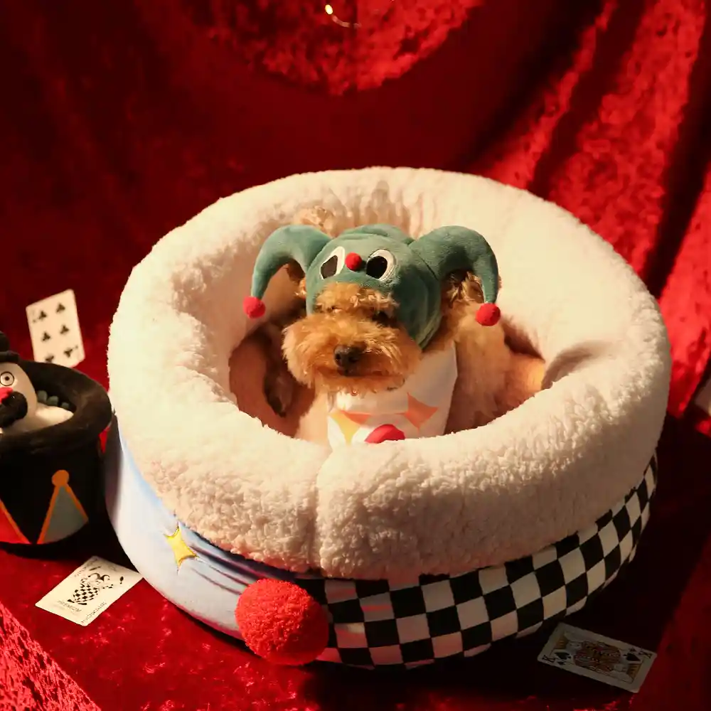 pet dog bed supplier