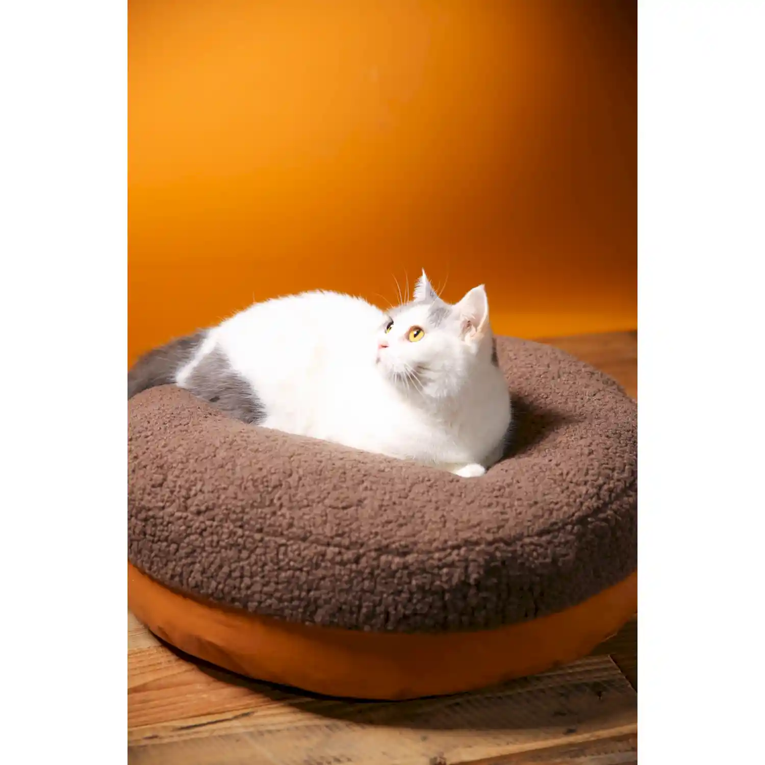 reversible dog bed factory