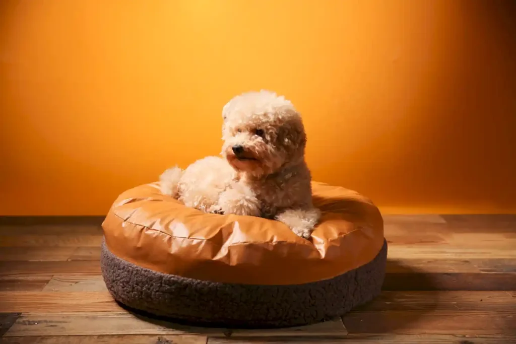 reversible dog bed in bulk